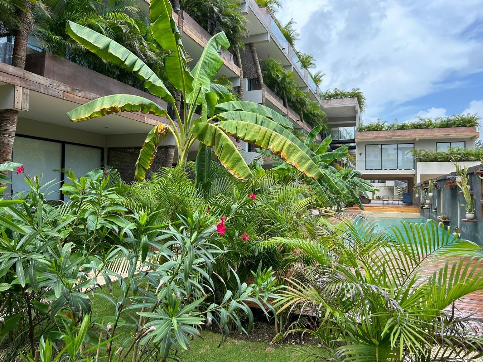 Appartamento Estudio Con Jacuzzi Privado En Xamira Tulum